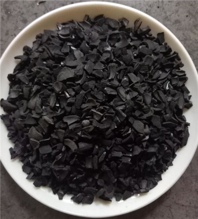 ̿бȱe(qing)ȸ